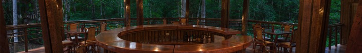 amazon treehouse bar