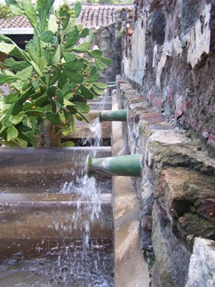 QLF baths with cactus