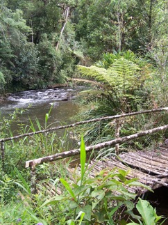 Ram Tzul river &#38; bridge