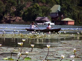 Rio Dulce lillies &#38; canoe