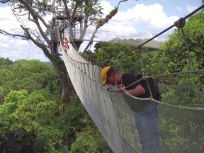 canopy walkway (13) amazon tour