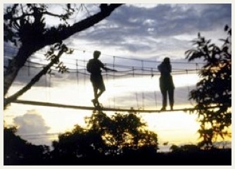 Canopy Walkway amazon rainforest tour