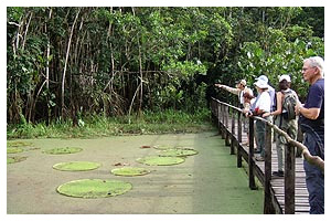 foto-rainforest3 amazon tour