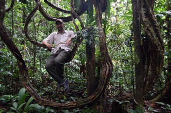 lianas amazon tour