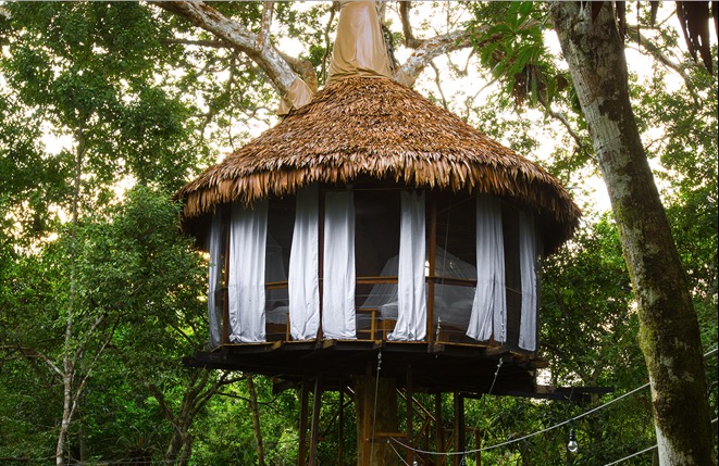 amazon treehouse lodge 9.png 2