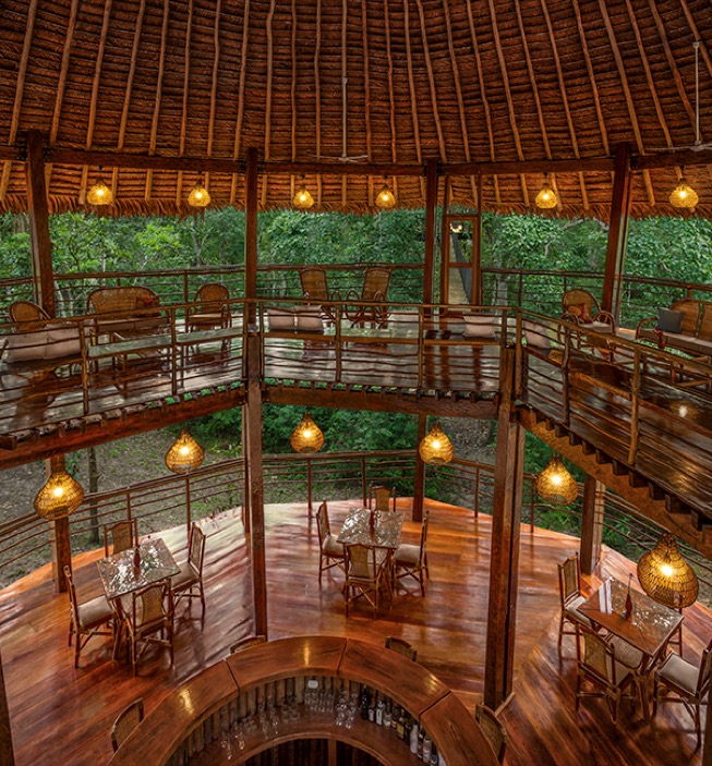 treehouse amazon lodge