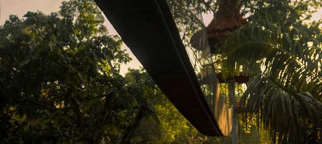 treehouse amazon walkway