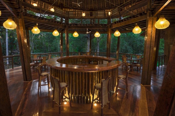 treehouse lodge bar on amazon tour