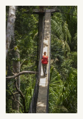 treehouse-lodge-tour in the amazon