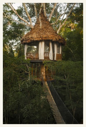 treehouse-lodge-amazon tour