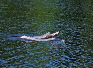 rio amazonas riverboat scenes 7