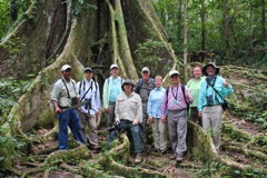 guests-ceiba-tree