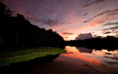 Amazon River Cruise Delfin Picture 30