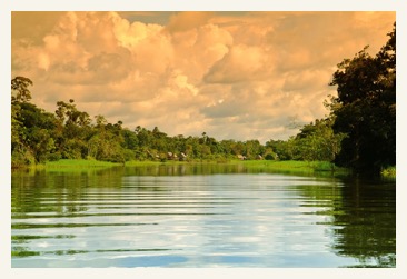 mazon cruise Dawn in the Amazon