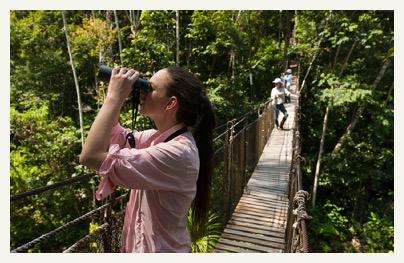 Amazon River Cruise canopy walkway