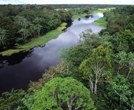 cruise on amazon river