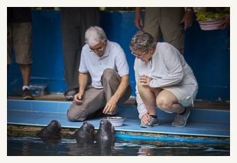 La Perla Cruise-manatee center