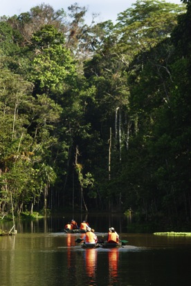 Paddling catamarans in the encharmed lake