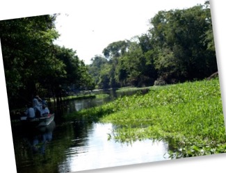 amazon river touring