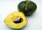 140_food_fruit_lucuma