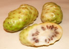 140_food_fruit_noni