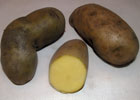 140_food_potato_huamantanga