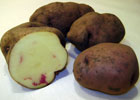 140_food_potato_huayro