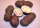 140_food_potato_nativa