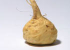 140_food_veggy_maca