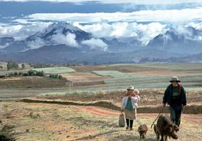 Colca Canyon scene