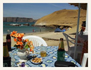 Paracas tour