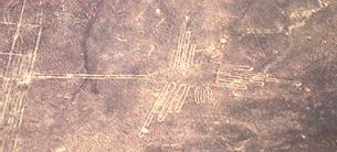 nazca lines tour hummingbird