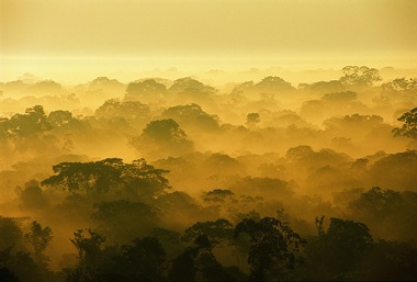 tambopata dawn