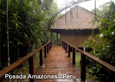 tambopata lodge