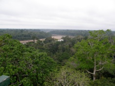 tambopata river