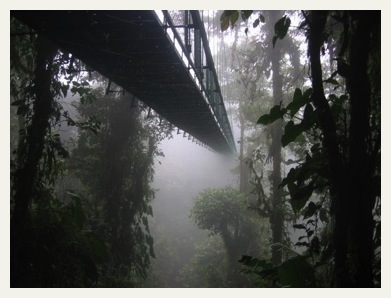 monteverde_canopy_walkway costa rica tours