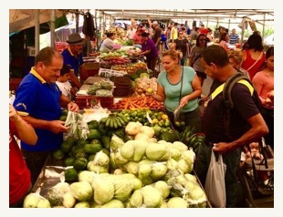 Farmers_market_paraiso