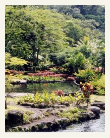 tabacon hot springs costa rica tours