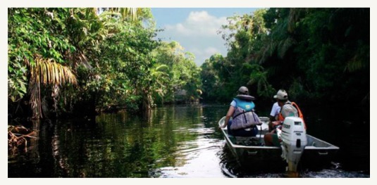 Tortuguero boat tour