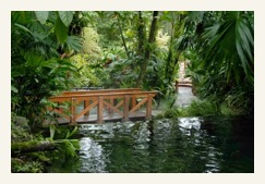 tabacon hot springs costa rica walk