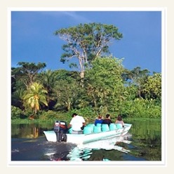 tortuguero canals boat tours