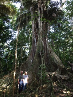 amazon rainforest tour