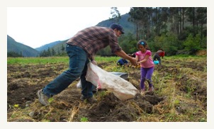 farm-el-albergue-ollantaytambo-003