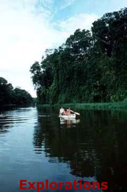 ptortuguero_WM