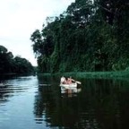 ptortuguero_WM