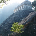 Temple at dawn_WM