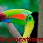 Keelbilled Toucan_WM