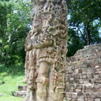 Copan stela 8_WM