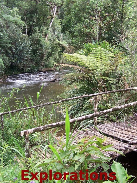 Ram Tzul river & bridge_WM