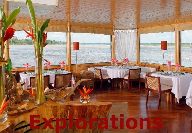 Delphin II dining_WM